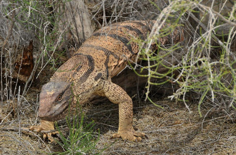 Galerie Aigner - Photo5