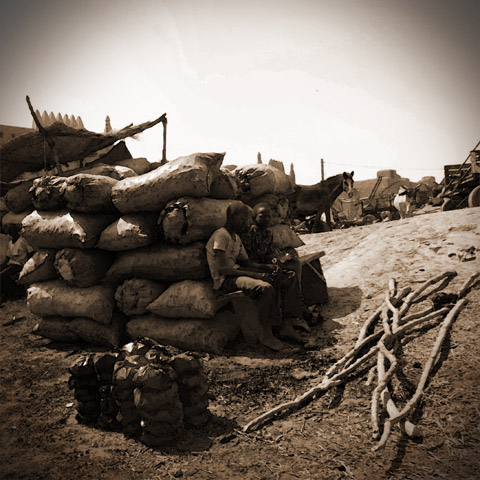 Galerie Cardile - Photo 8