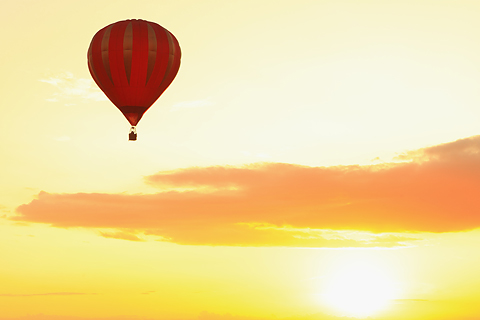 Galerie Cester - Photo 5