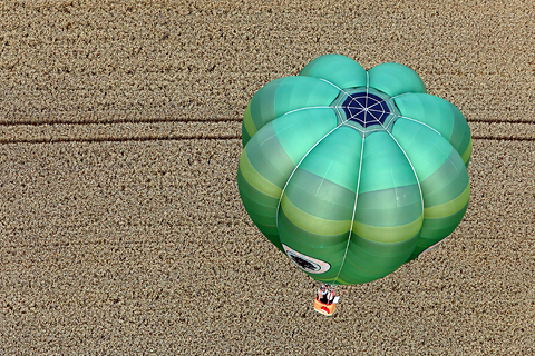 Galerie Cester - Photo 8