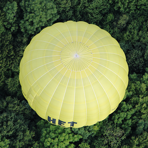 Galerie Cester - Photo 10