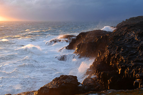 Galerie Desroches - Photo1