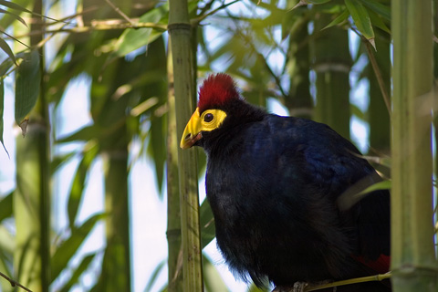 Galerie Desroches - Photo4