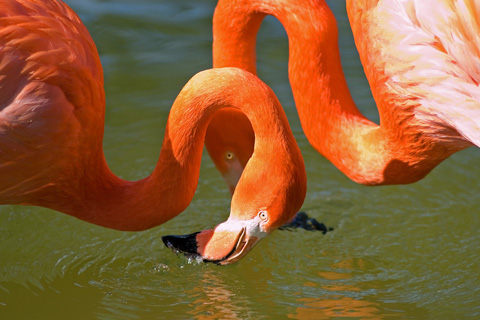 Galerie Desroches - Photo5