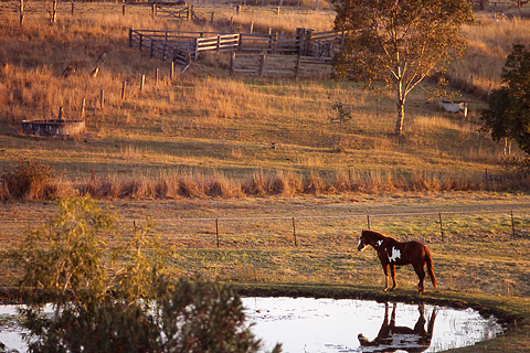 Galerie Desroches - Photo 8