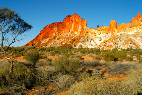 Galerie Desroches - Photo 9