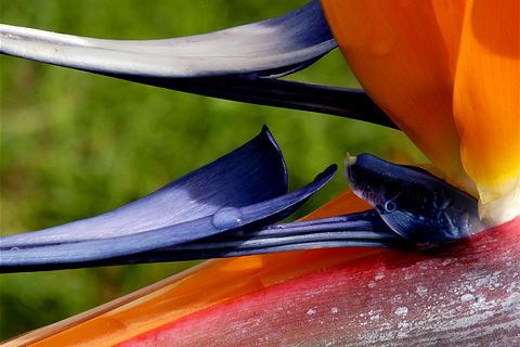 Galerie Desroches - Photo 10