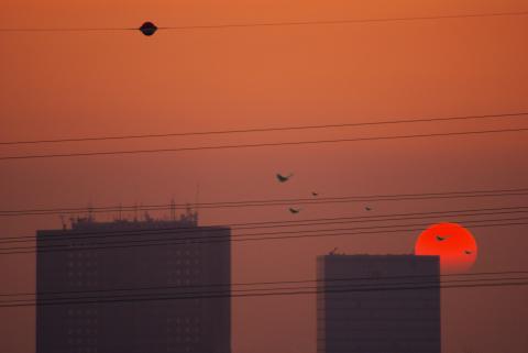 Galerie Falcetta - Photo1