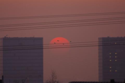 Galerie Falcetta - Photo2