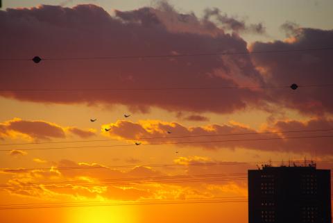 Galerie Falcetta - Photo3