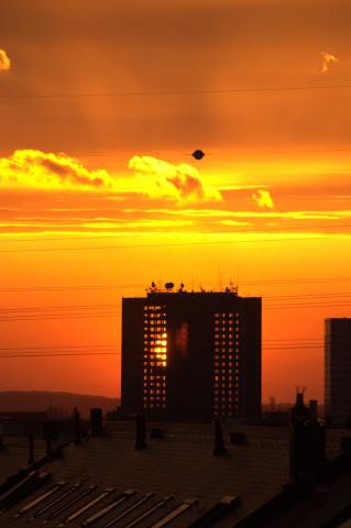 Galerie Falcetta - Photo4