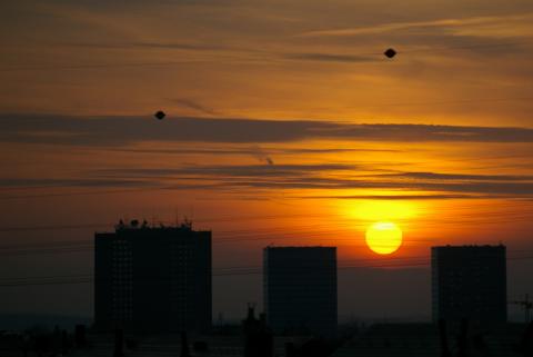 Galerie Falcetta - Photo6