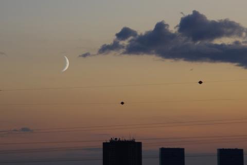 Galerie Falcetta - Photo 7