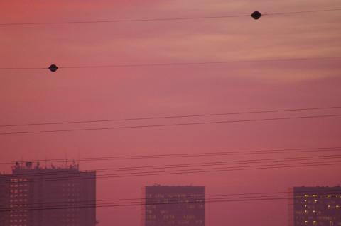 Galerie Falcetta - Photo 8