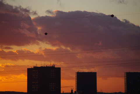 Galerie Falcetta - Photo 10