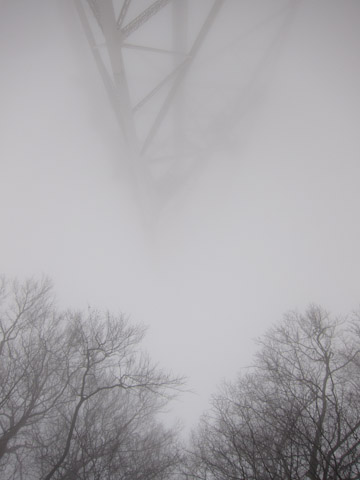 Galerie Grandidier - Photo1