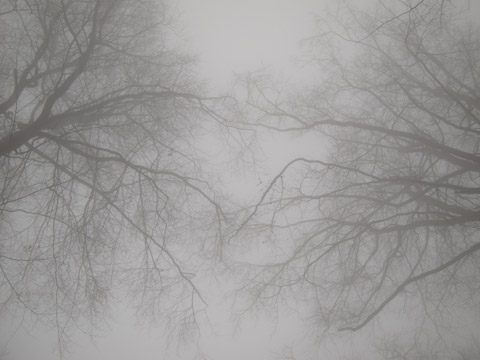 Galerie Grandidier - Photo 2