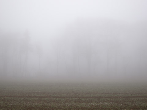 Galerie Grandidier - Photo3