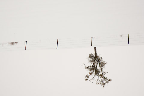 Galerie Grandidier - Photo 5