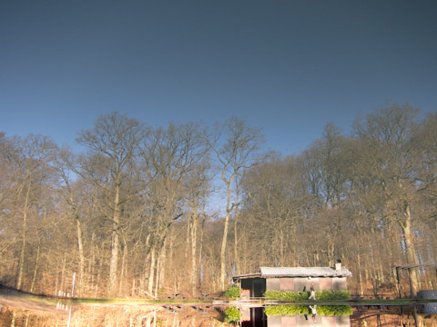 Galerie Grandidier - Photo 6