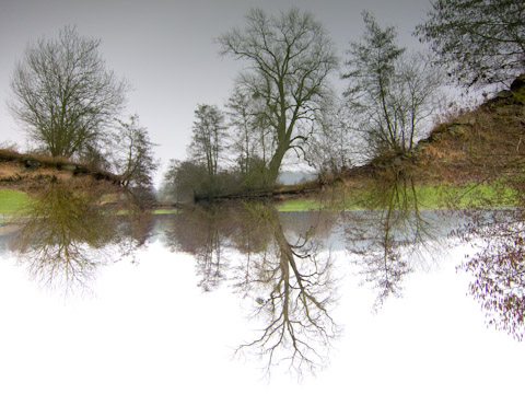 Galerie Grandidier - Photo 7