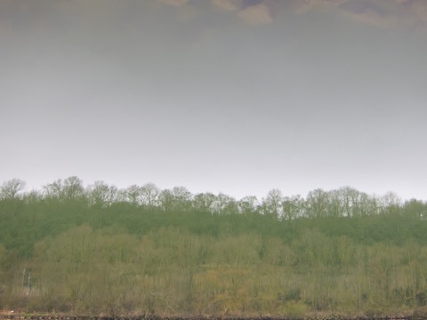 Galerie Grandidier - Photo 8