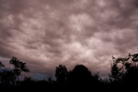 Galerie Grandidier - Photo 9