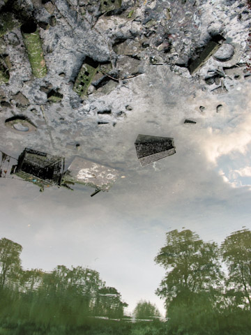 Galerie Grandidier - Photo 10