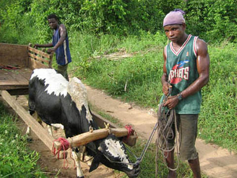 Galerie Hamen - Photo4