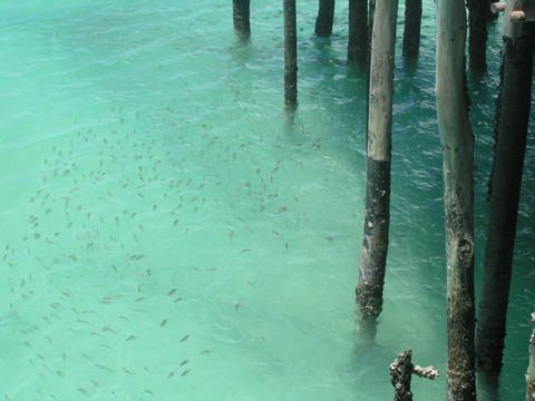 Galerie Hamen - Photo8