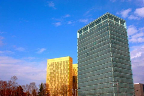 Galerie Jemai - Photo 8