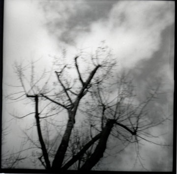 Galerie Kravcovaite - Photo3