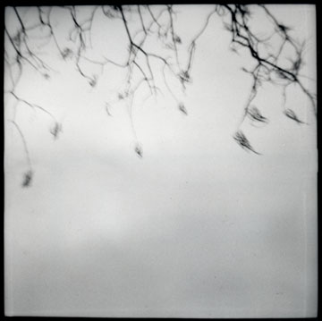 Galerie Kravcovaite - Photo6