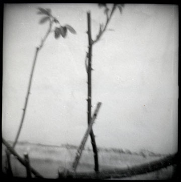 Galerie Kravcovaite - Photo 7