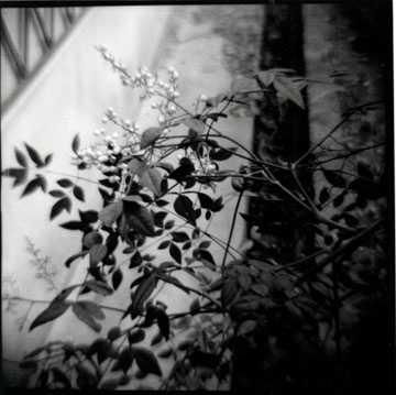 Galerie Kravcovaite - Photo 9