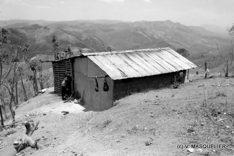 Galerie Masquelier - Photo5