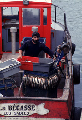P&ecirc;che en Vend&eacute;e