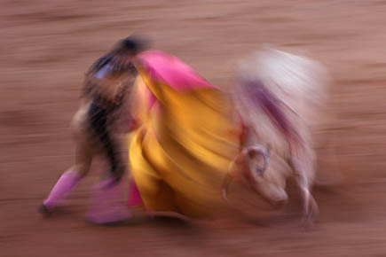 Galerie Poinsignon - Photo1