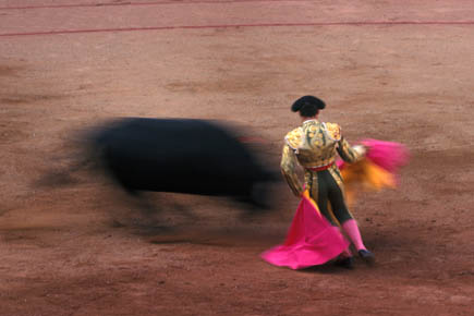 Galerie Poinsignon - Photo2