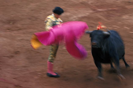 Galerie Poinsignon - Photo3