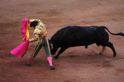 Galerie Poinsignon - Photo4