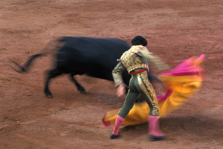 Galerie Poinsignon - Photo5