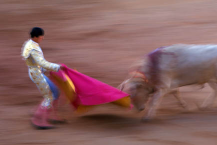 Galerie Poinsignon - Photo6