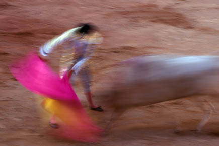 Galerie Poinsignon - Photo7