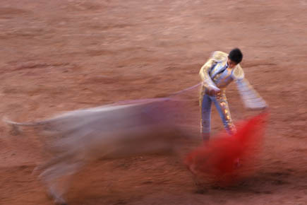 Galerie Poinsignon - Photo8