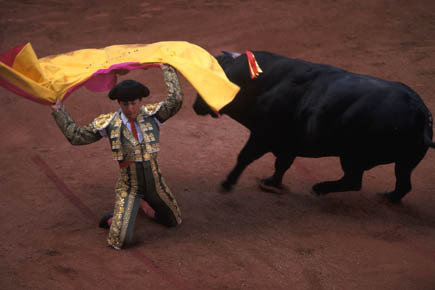 Galerie Poinsignon - Photo10