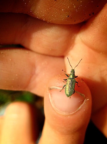 Galerie R�der - Photo3