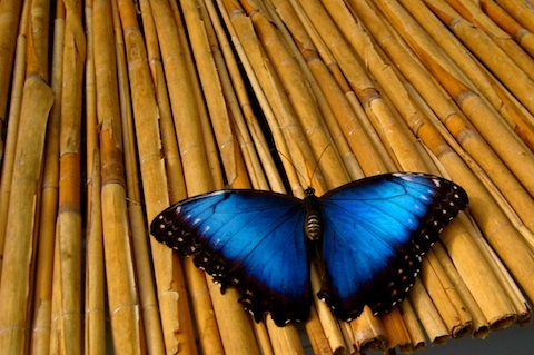 Galerie R�der - Photo6