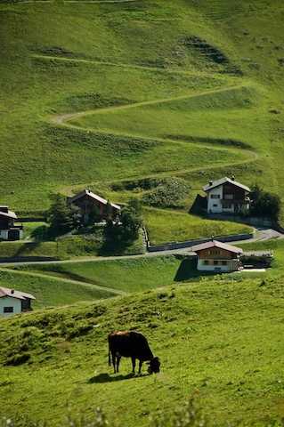 Galerie R�der - Photo7