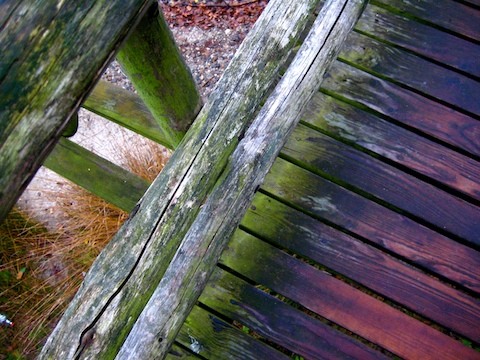 Galerie R�der - Photo8